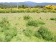 North Street, Waratah TAS 7321