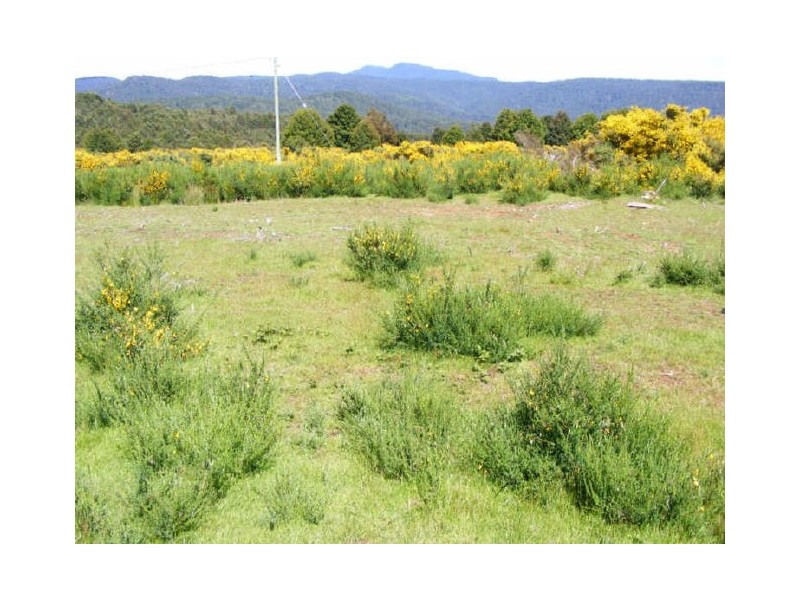 North Street, Waratah TAS 7321
