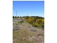 North Street, Waratah TAS 7321