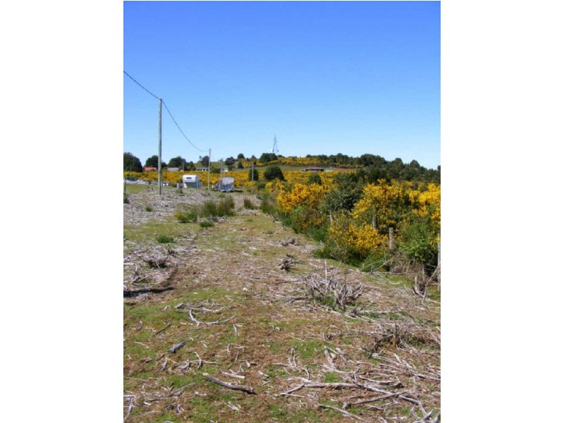 North Street, Waratah TAS 7321