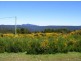 North Street, Waratah TAS 7321