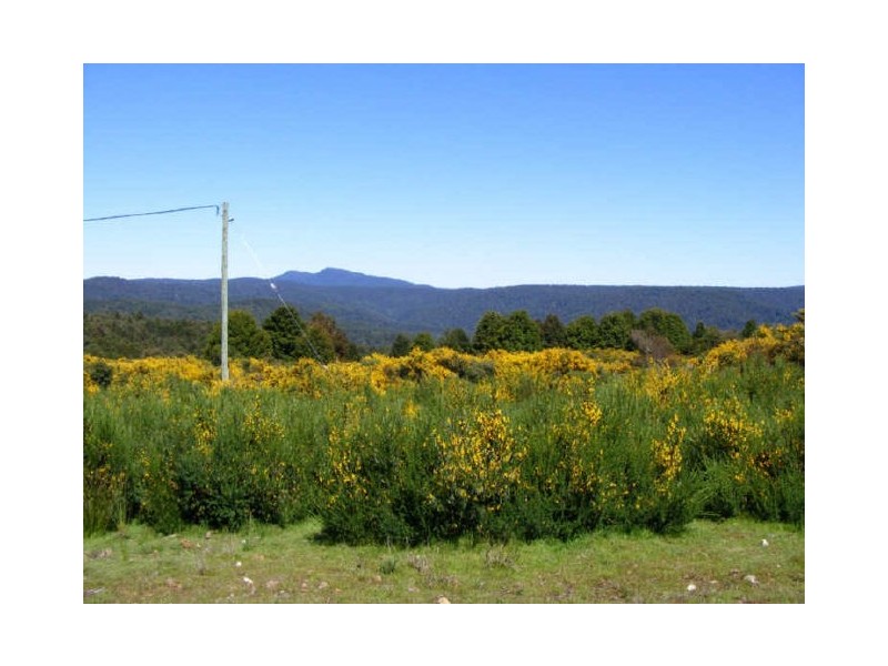 North Street, Waratah TAS 7321