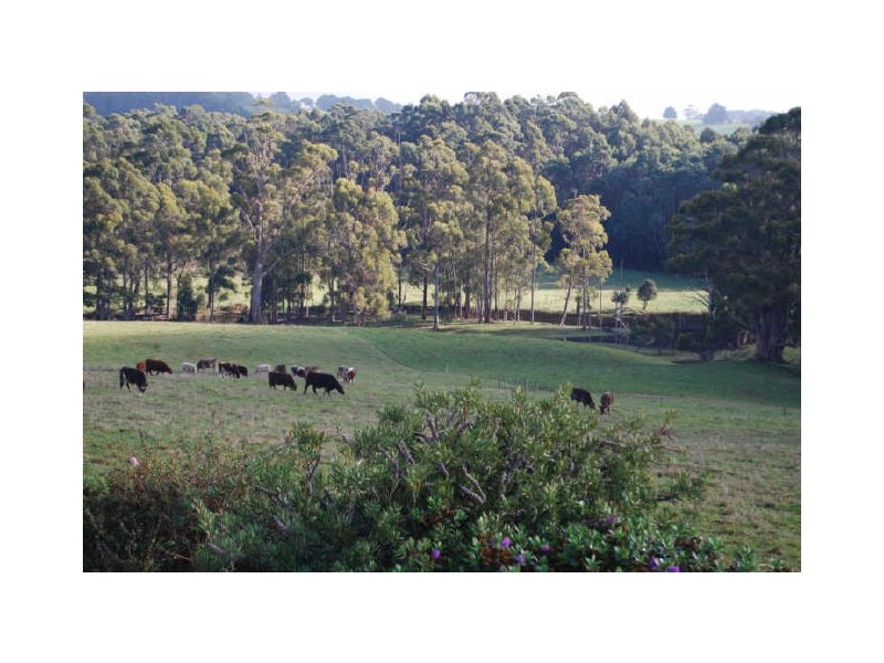 72 Beatties Road, Lapoinya TAS 7325