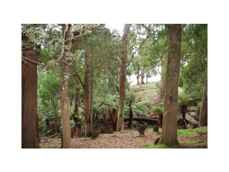 72 Beatties Road, Lapoinya TAS 7325