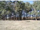 Lot 3 Oldina Road, Wynyard TAS 7325