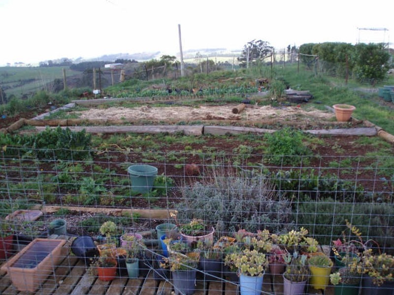 40 Coates Road, Mount Hicks TAS 7325