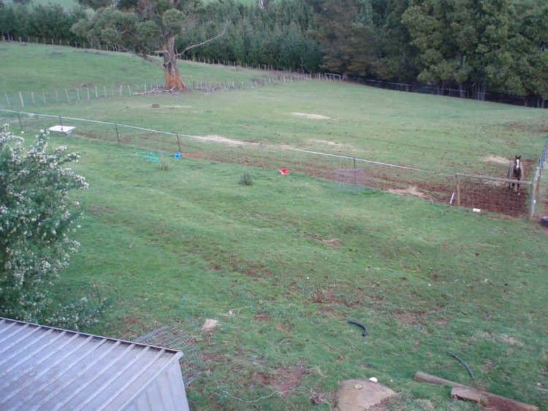 40 Coates Road, Mount Hicks TAS 7325