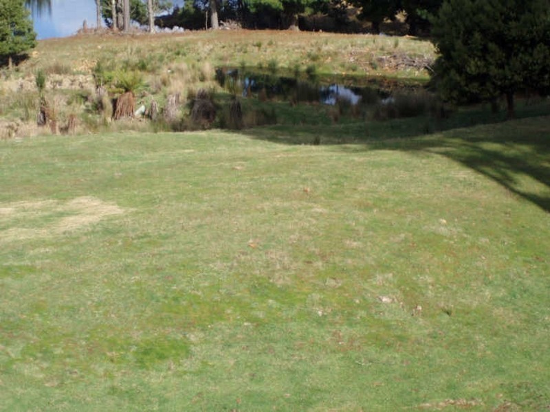 40 Coates Road, Mount Hicks TAS 7325