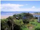 1 Charles Street, Black River TAS 7321