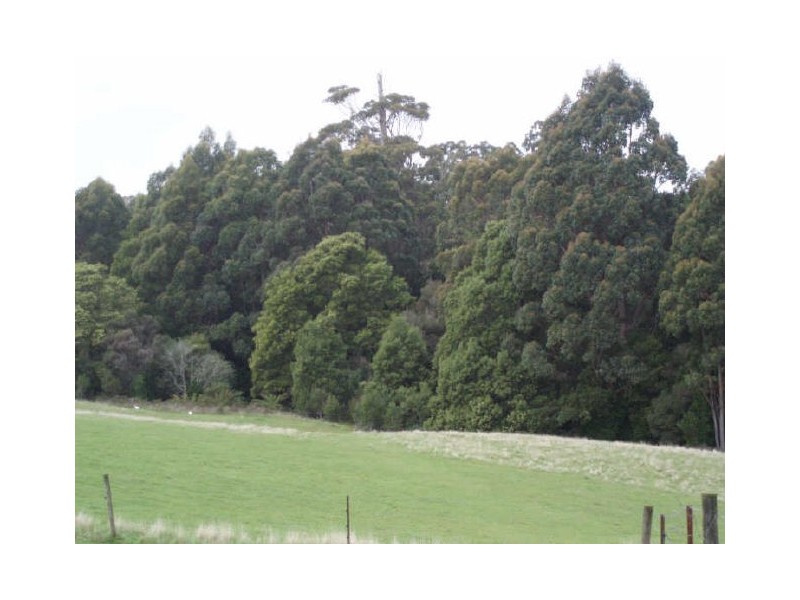 1161 Calder Road, Calder TAS 7325