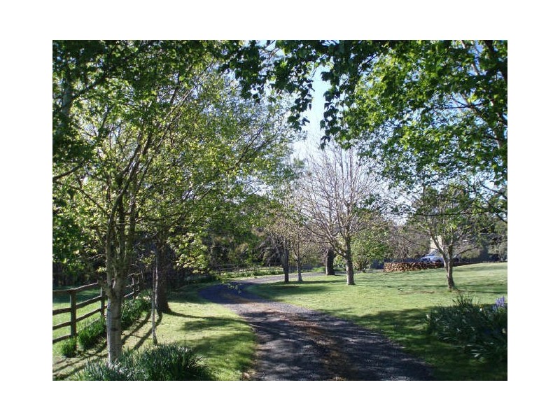 297 Preolenna Road, Flowerdale TAS 7325