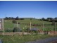 297 Preolenna Road, Flowerdale TAS 7325