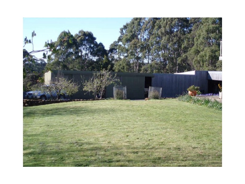 297 Preolenna Road, Flowerdale TAS 7325
