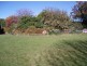 297 Preolenna Road, Flowerdale TAS 7325
