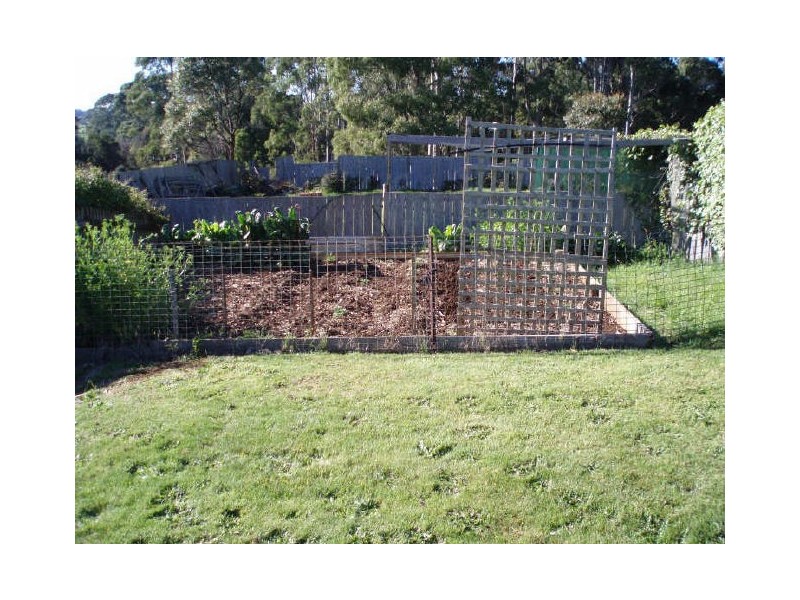 297 Preolenna Road, Flowerdale TAS 7325