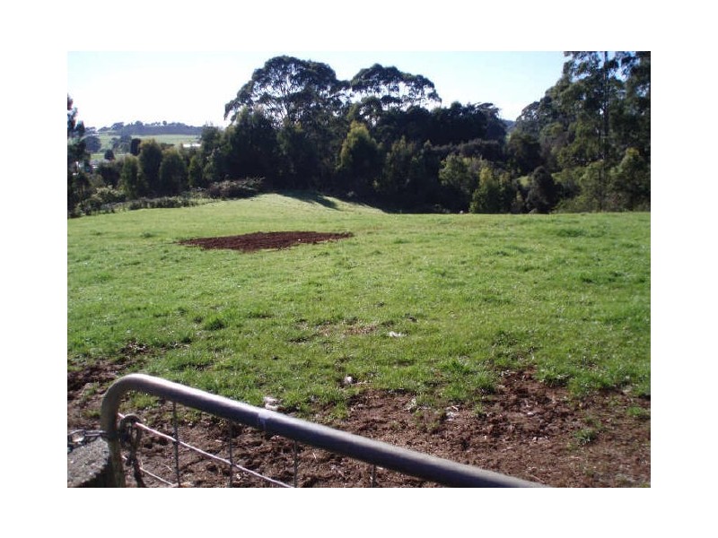 297 Preolenna Road, Flowerdale TAS 7325