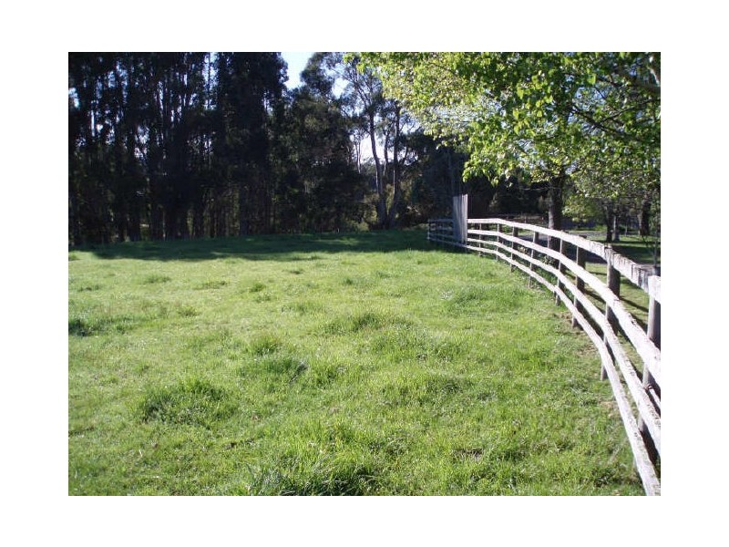 297 Preolenna Road, Flowerdale TAS 7325