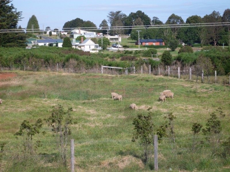 2 Williams Street, Waratah TAS 7321