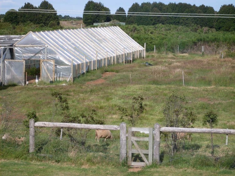 2 Williams Street, Waratah TAS 7321