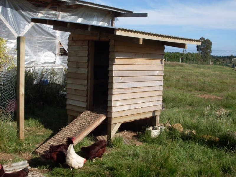 2 Williams Street, Waratah TAS 7321