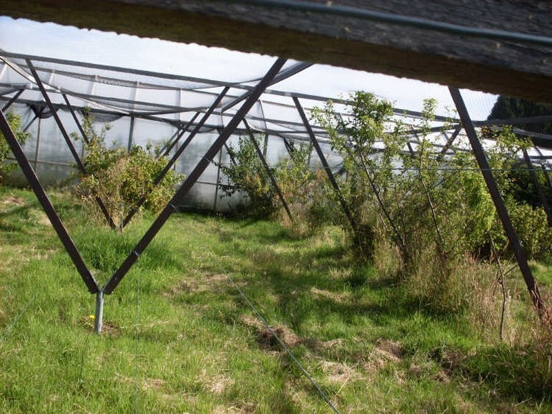 2 Williams Street, Waratah TAS 7321