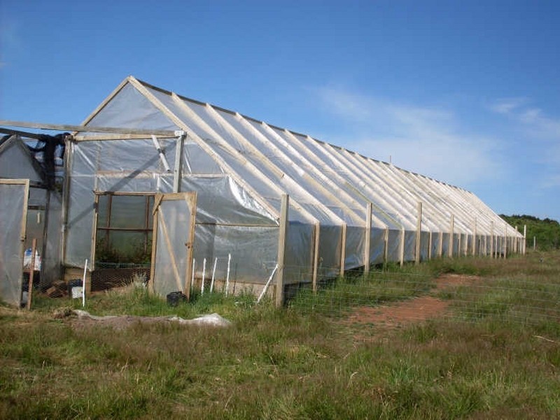 2 Williams Street, Waratah TAS 7321