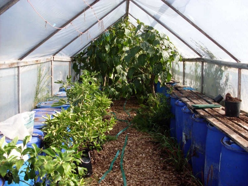 2 Williams Street, Waratah TAS 7321