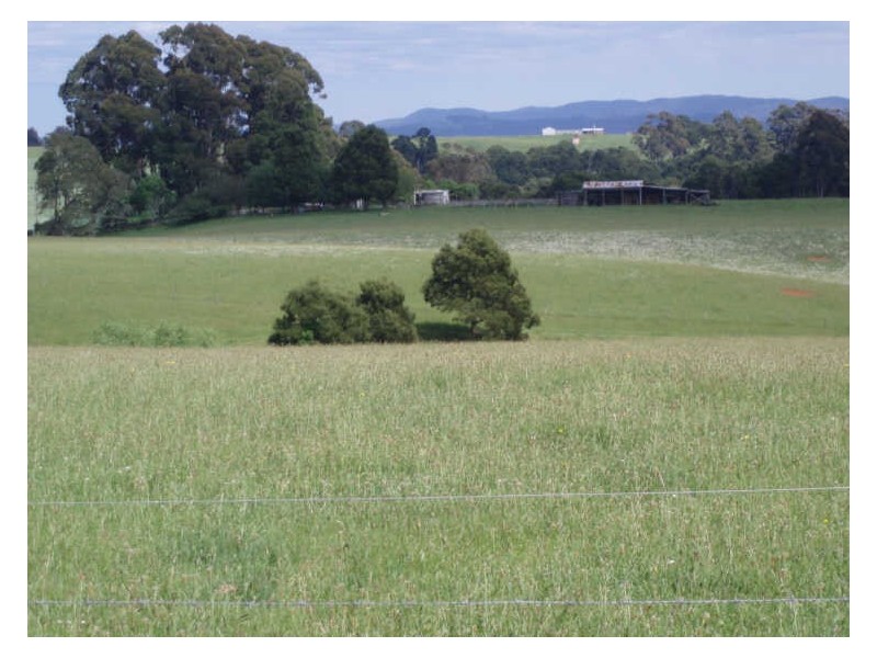 34 Elphinstones Road, Wynyard TAS 7325