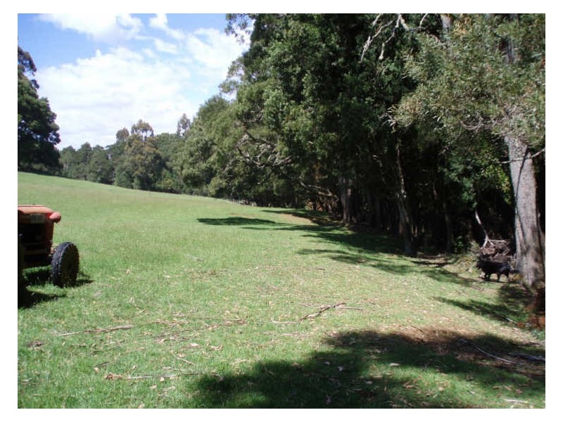 34 Elphinstones Road, Wynyard TAS 7325