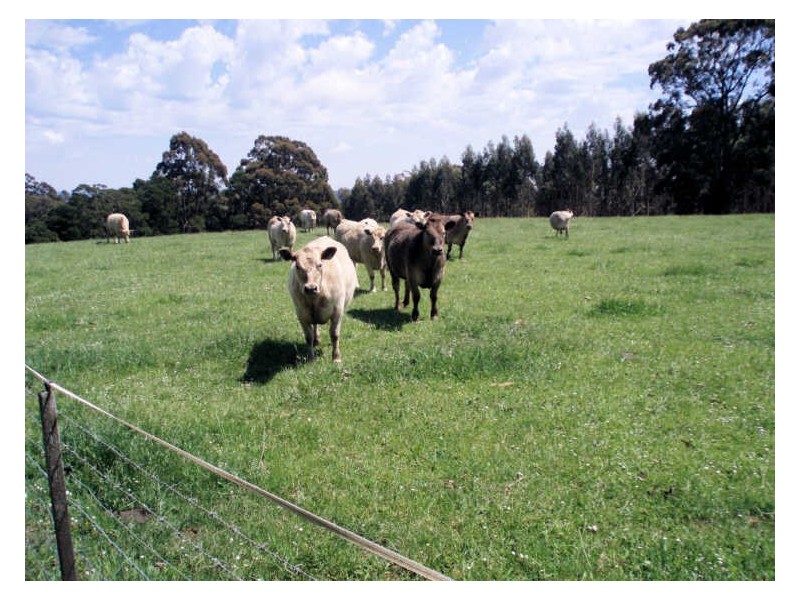 34 Elphinstones Road, Wynyard TAS 7325