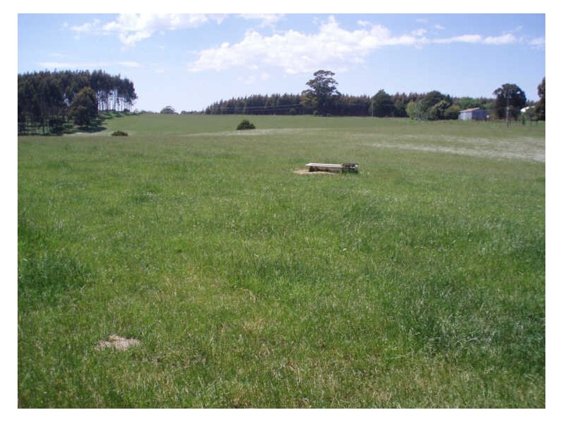 34 Elphinstones Road, Wynyard TAS 7325