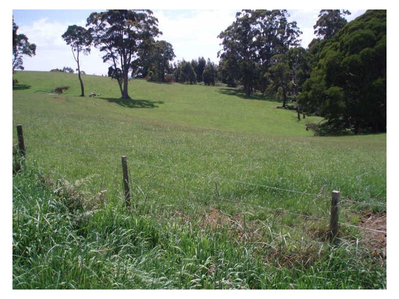 34 Elphinstones Road, Wynyard TAS 7325