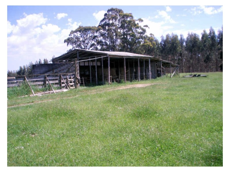 34 Elphinstones Road, Wynyard TAS 7325