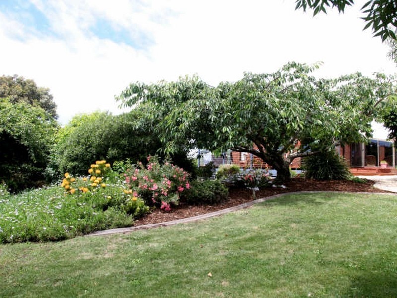 16 Sisters Beach Road, Boat Harbour TAS 7321