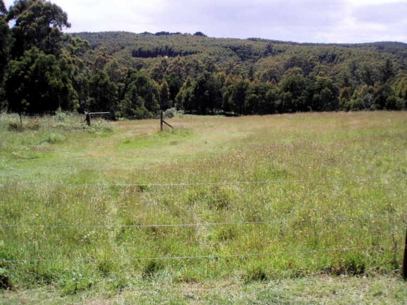 134 Elphinstones Road, Calder TAS 7325