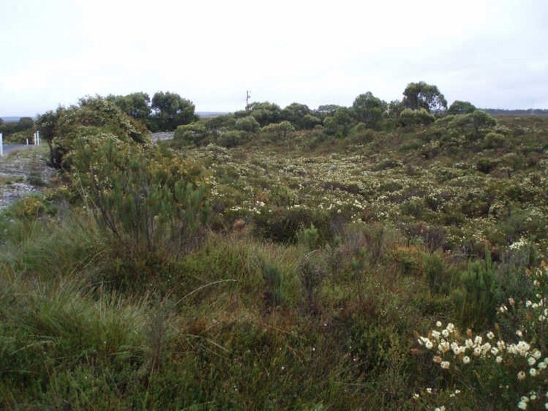 3/ Ocean Beach Road, Strahan TAS 7468