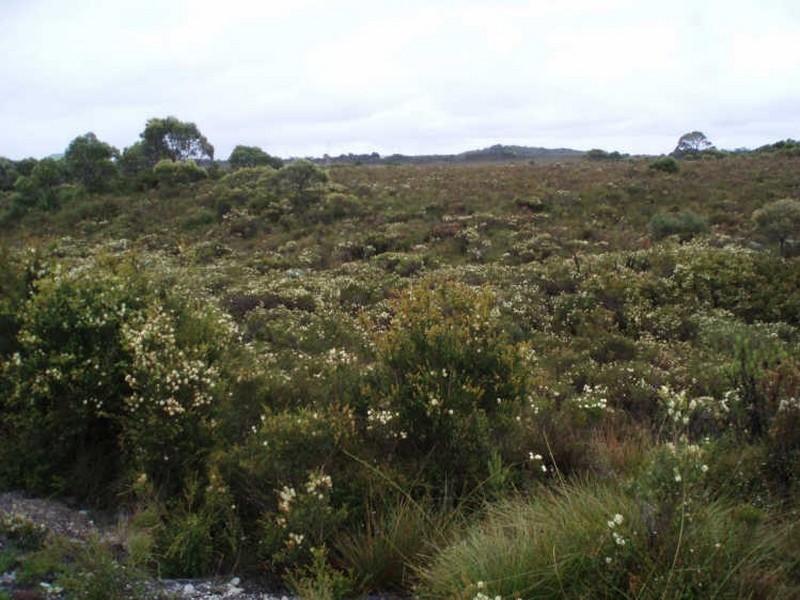 3/ Ocean Beach Road, Strahan TAS 7468