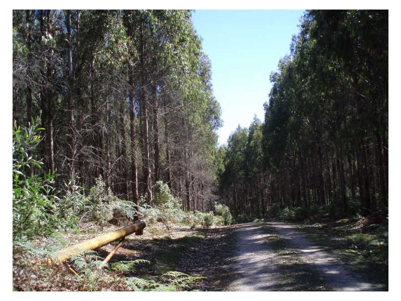 200 Hills Road, Meunna TAS 7325