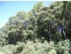 200 Hills Road, Meunna TAS 7325