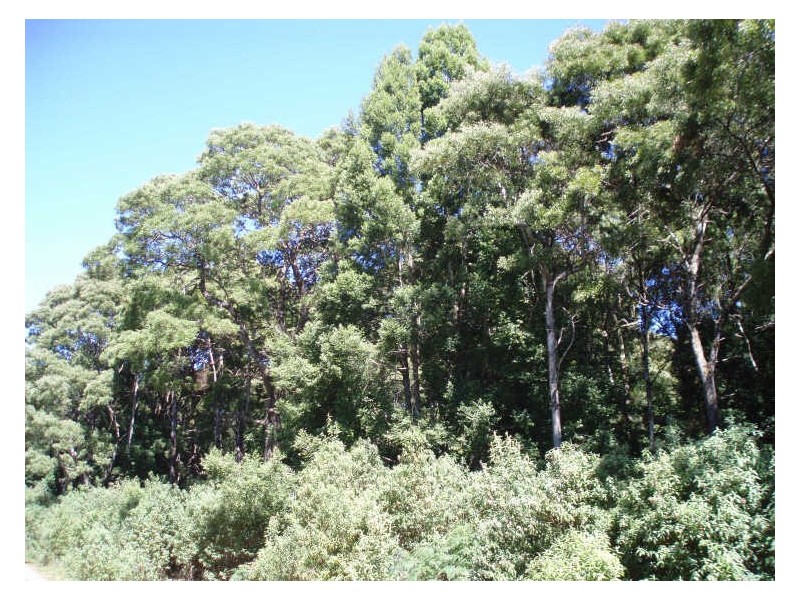 200 Hills Road, Meunna TAS 7325