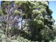 200 Hills Road, Meunna TAS 7325