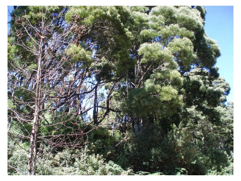 200 Hills Road, Meunna TAS 7325