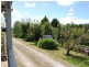 1251 Calder Road, Wynyard TAS 7325