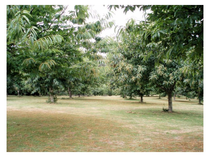 2045 Preolenna Road, Preolenna TAS 7325