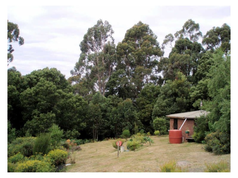 2045 Preolenna Road, Preolenna TAS 7325