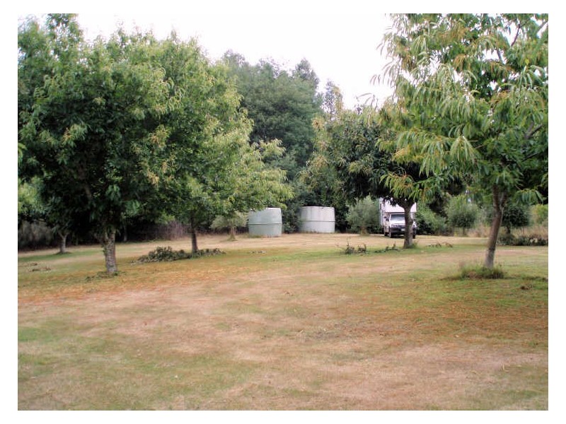 2045 Preolenna Road, Preolenna TAS 7325