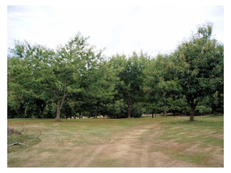 2045 Preolenna Road, Preolenna TAS 7325