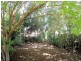 996 Murchison Highway, Elliott TAS 7325