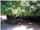 996 Murchison Highway, Elliott TAS 7325