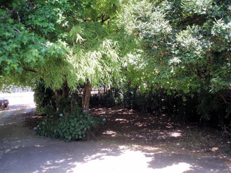 996 Murchison Highway, Elliott TAS 7325